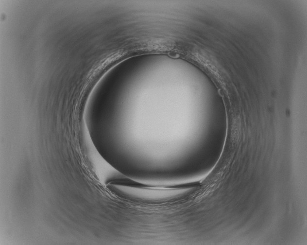 X0000085020673200703051313
