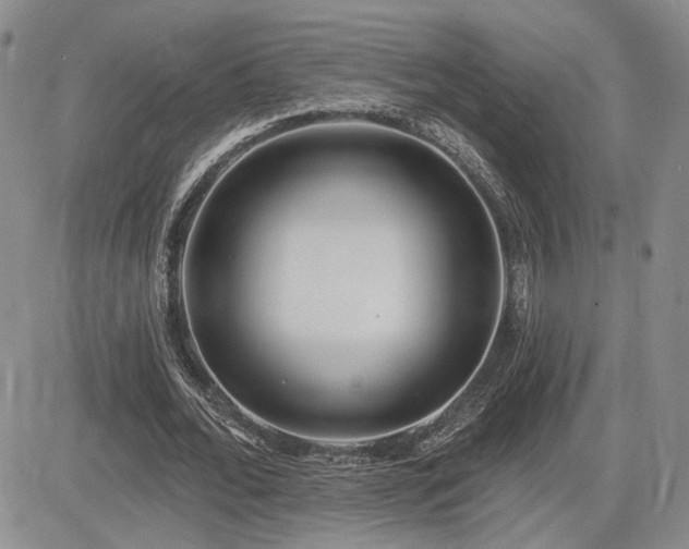 X0000085020676200703051313