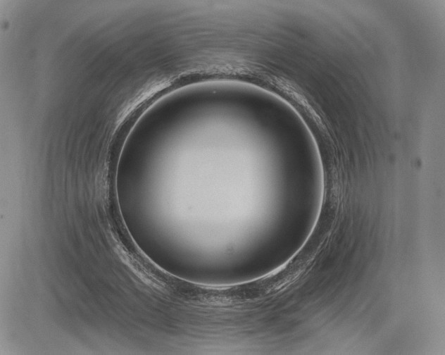 X0000085020677200703051313