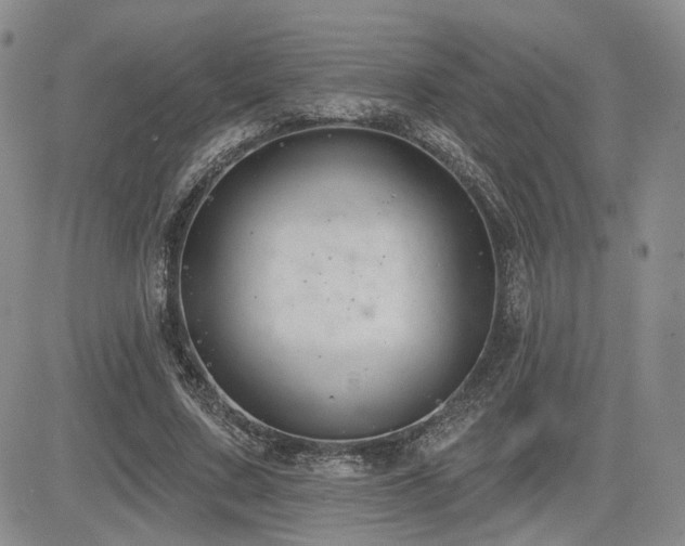 X0000085020683200703051313