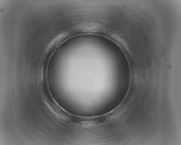 X0000085020686200703051313