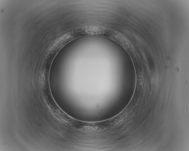X0000085020690200703051313