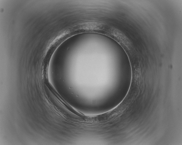 X0000085020727200703051312