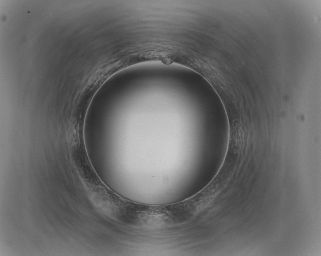 X0000085020743200703051312