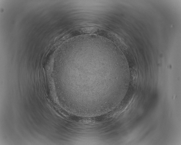 X0000085020745200703051312
