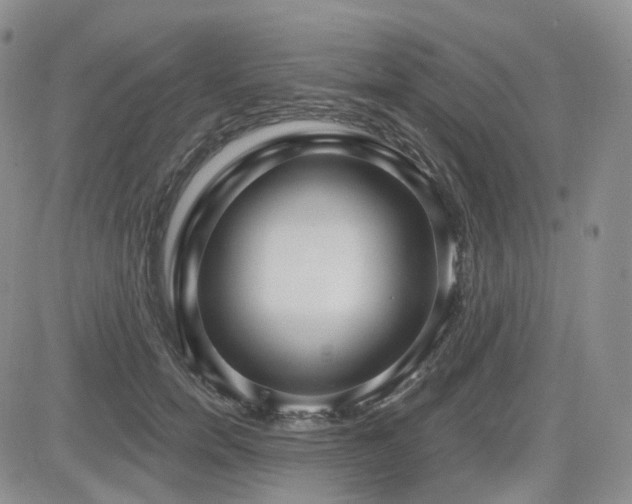 X0000085020750200703051312