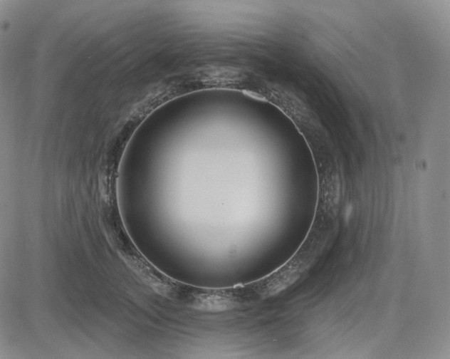 X0000085020755200703051312