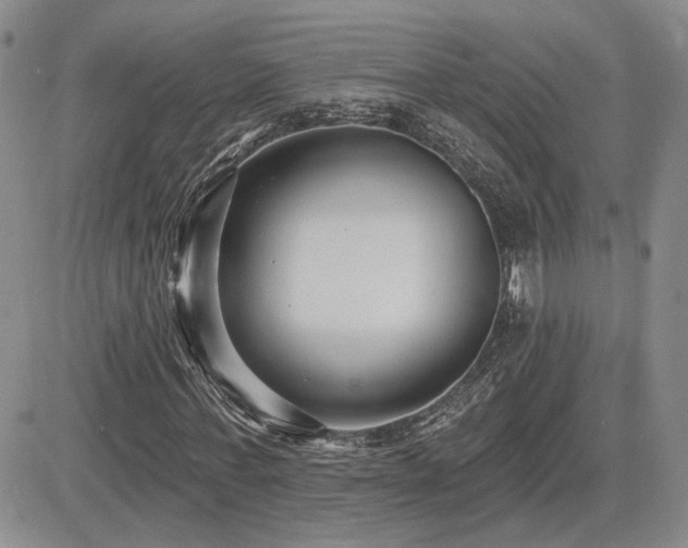 X0000085020771200703051312