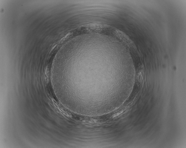 X0000085020772200703051312