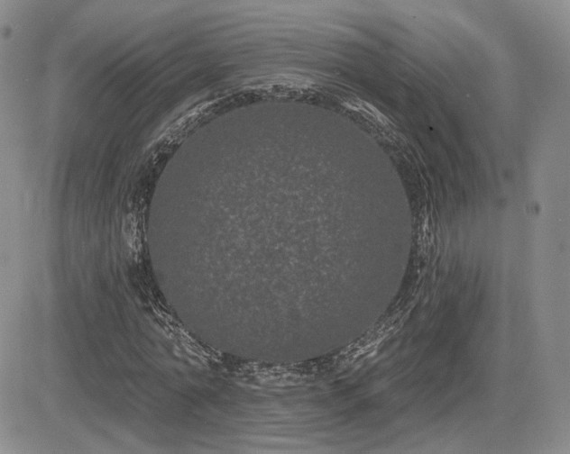 X0000085020774200703051312