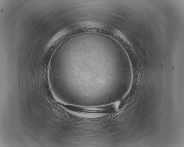 X0000085020775200703051312
