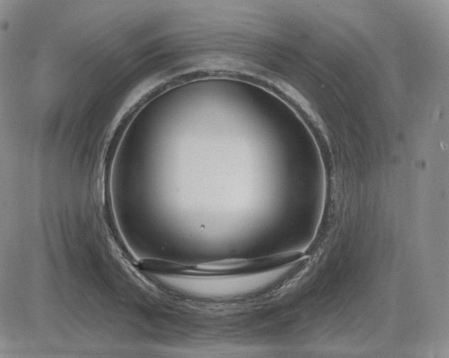X0000085020791200703051311