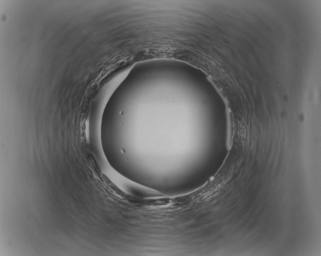 X0000085020818200703051310