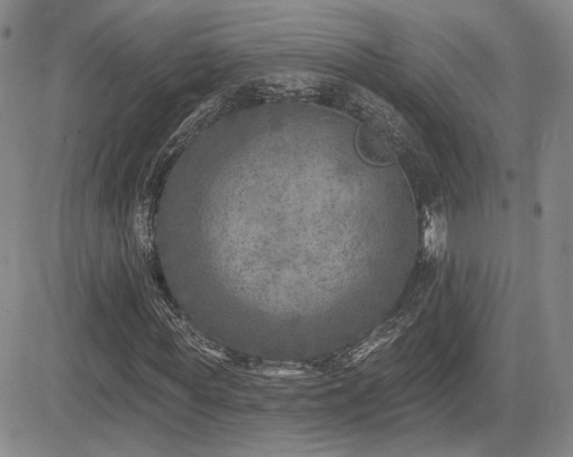 X0000085020819200703051310