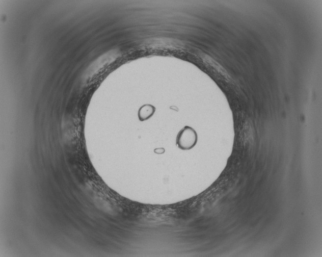 X0000085020824200703051310