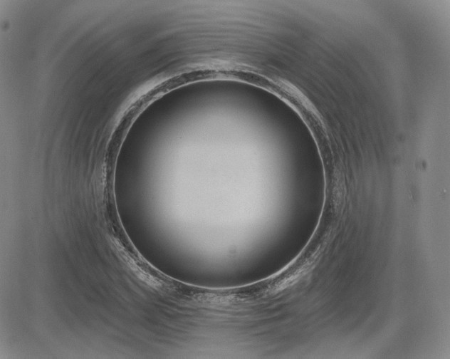 X0000085020831200703051310
