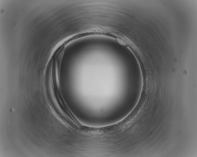 X0000085020838200703051310