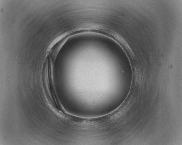 X0000085020842200703051311