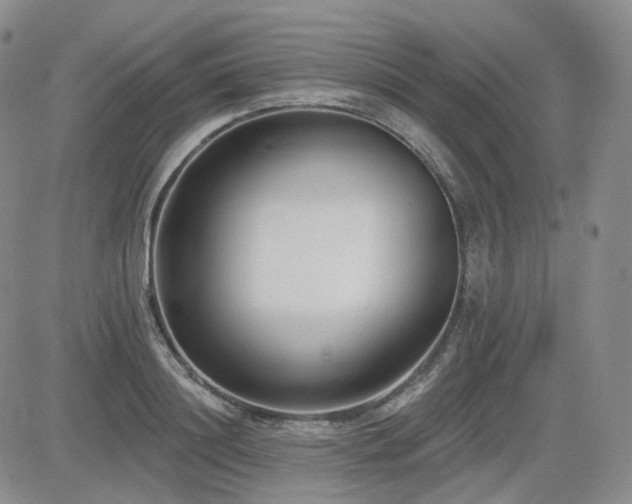 X0000085020844200703051311