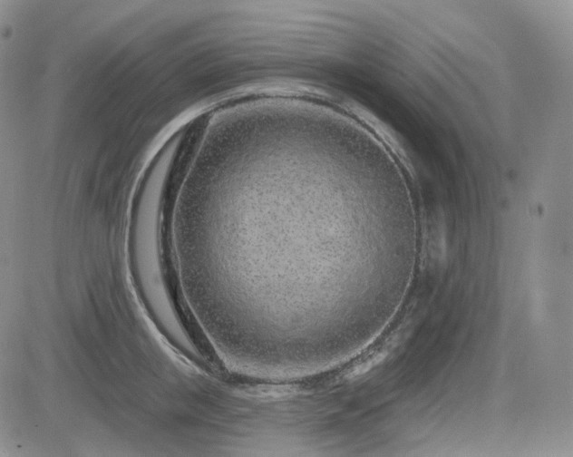 X0000085020853200703051311