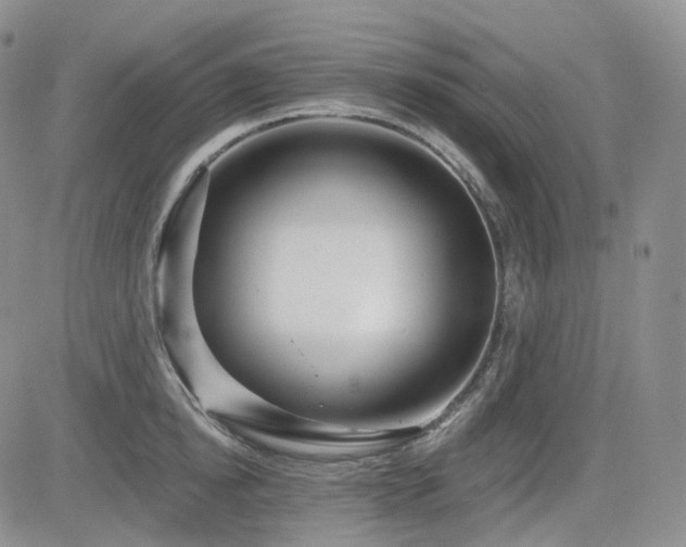 X0000085020854200703051311