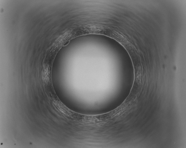 X0000085020866200703051310