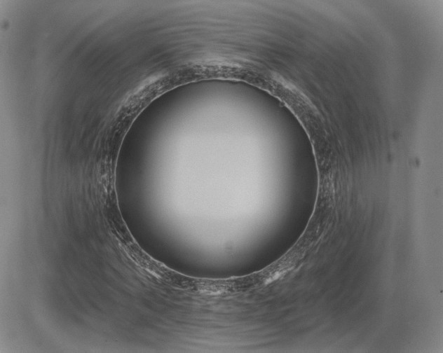 X0000085020870200703051310