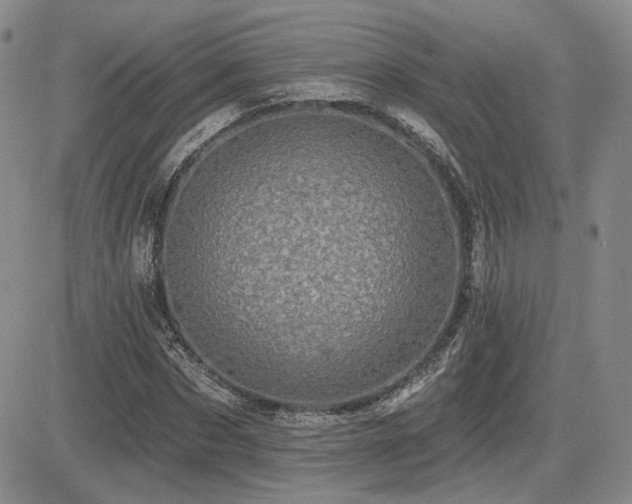 X0000085020873200703051310