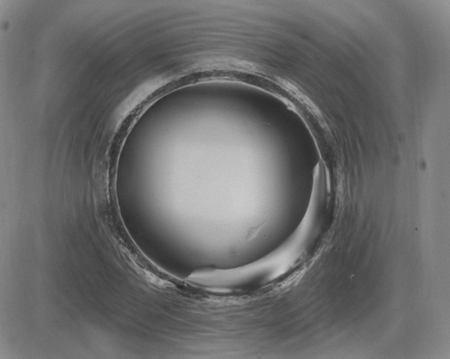 X0000085020877200703051310