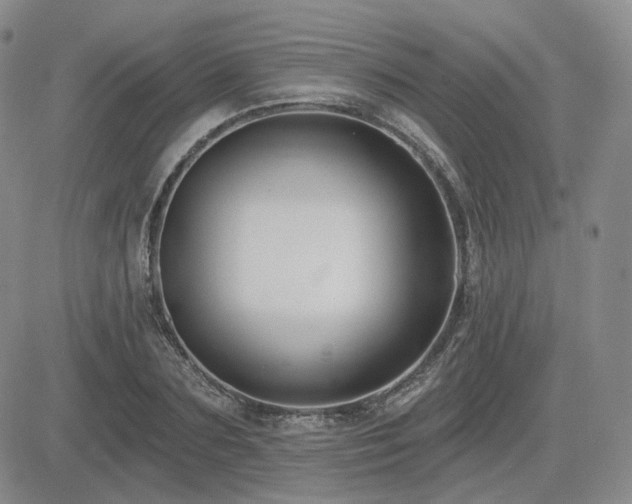 X0000085020883200703051310