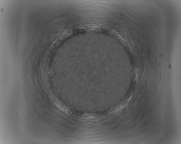 X0000085020913200703051309