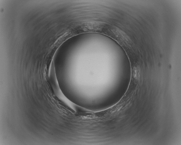 X0000085020915200703051309