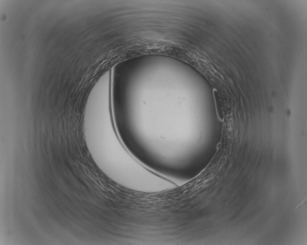 X0000085020916200703051309