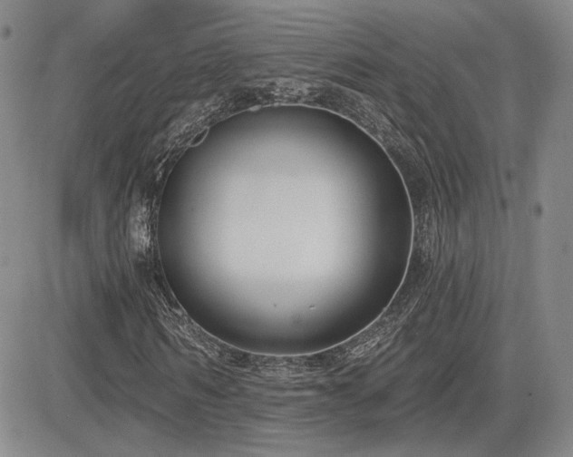 X0000085020962200703051309