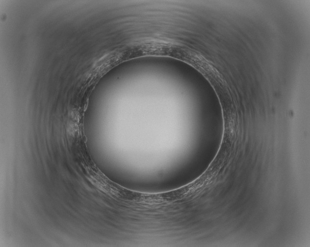 X0000085020964200703051308