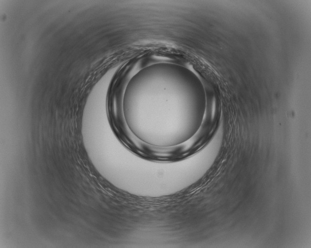 X0000085020965200703051308