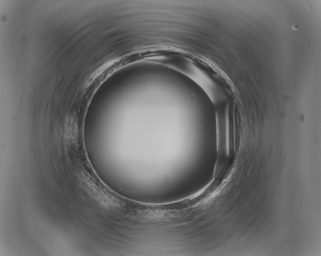 X0000085020969200703051308