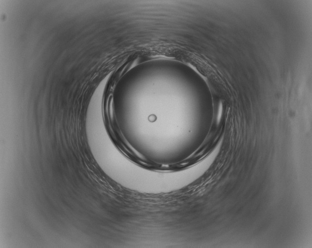 X0000085021010200703051307