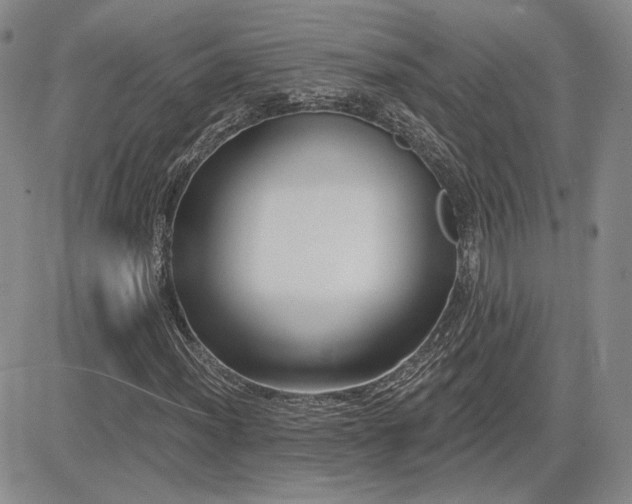 X0000085021012200703051307