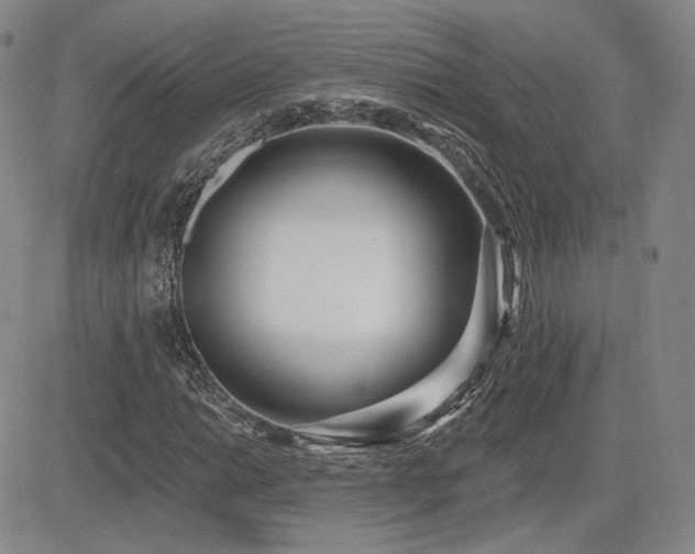 X0000085021014200703051307