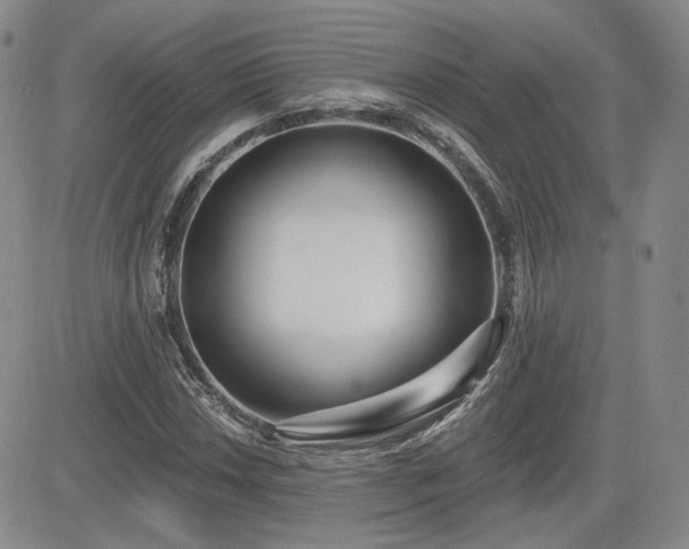 X0000085021018200703051307