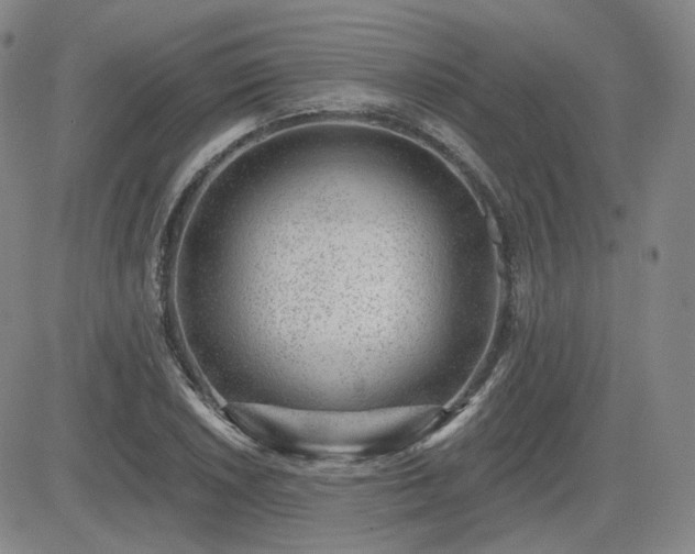 X0000085021026200703051307