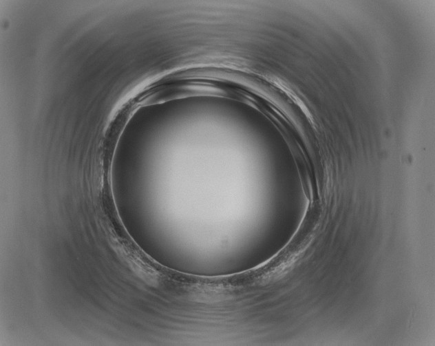 X0000085021069200703051307