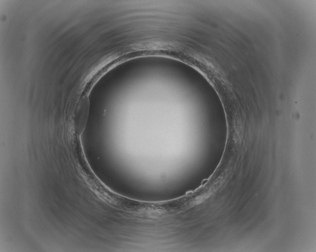 X0000085021073200703051307