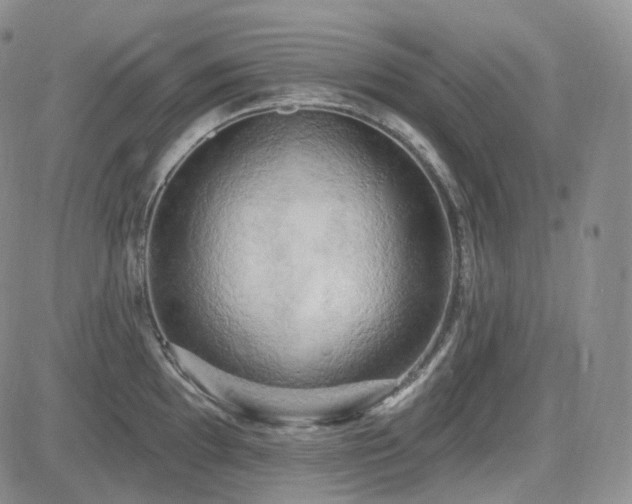 X0000085021097200703051306