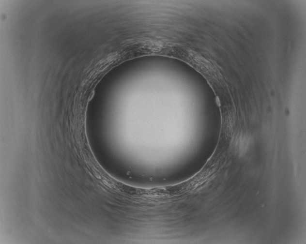 X0000085021105200703051305