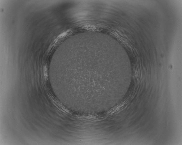 X0000085021106200703051305