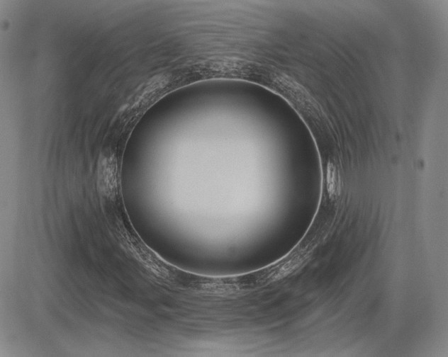 X0000085021107200703051305