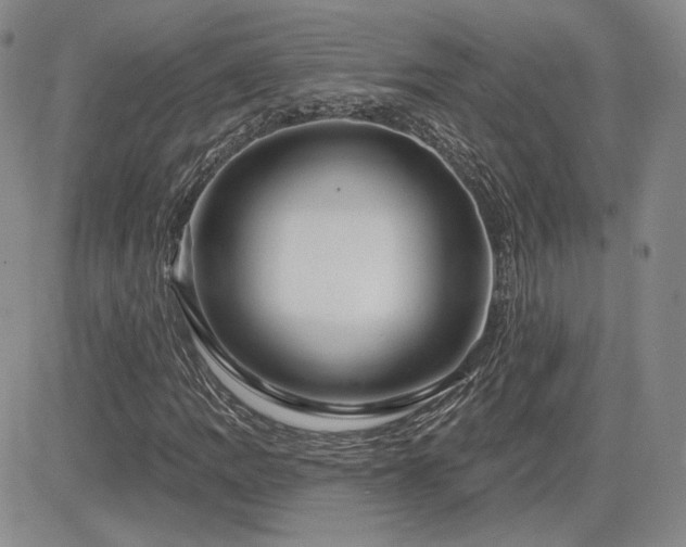 X0000085021109200703051305