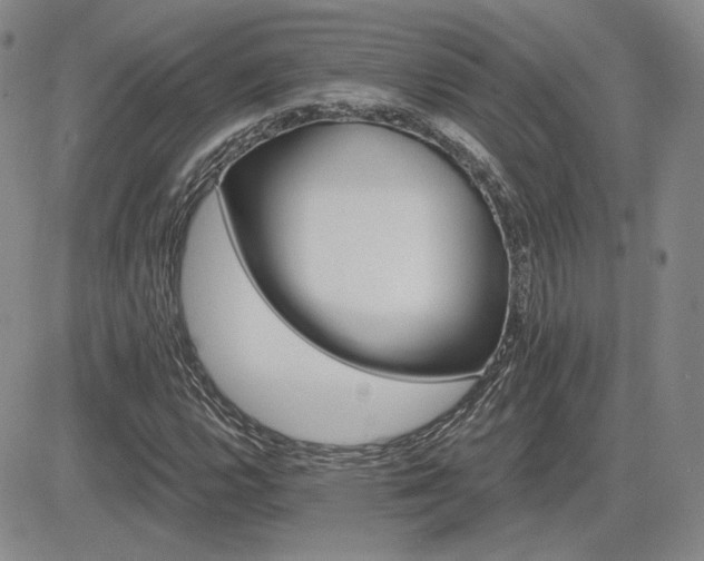 X0000085021112200703051305
